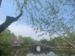 -无锡蠡湖国家湿地公园-蠡园
