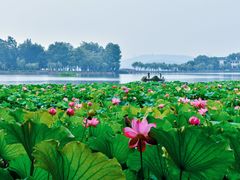 -东湖磨山景区