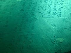-白鹤梁水下博物馆