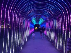 -霸王河欢乐世界