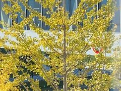 -华晨宝马铁西工厂