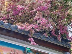 -深圳国际园林花卉博览园