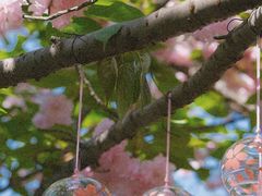 -苏州吴中太湖旅游区