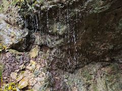 -黑河国家森林公园