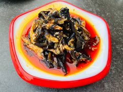 -向外鱼乐·土菜·虹鳟鱼