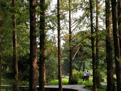 -国家植物园南园