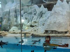 -帝企鹅自助餐厅•儿童岛•真企鹅(长隆企鹅酒店)