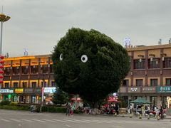 -特克斯八卦城