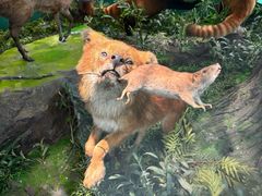 -国家自然博物馆