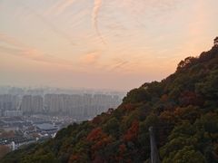 -杭州半山国家森林公园