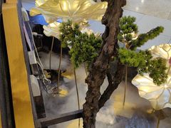-三江源活鱼现烤(维多利摩尔城店)