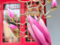 -天津大悲禅院