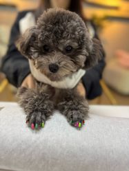 -JX今喜美甲美睫