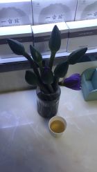 -伊然美产后恢复中心(海珠妇幼店)