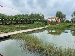 -同銮特种养殖场·龙虾垂钓