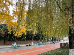 -成都市活水公园