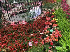 -龙环葡韵住宅式博物馆