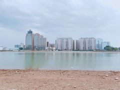 -金沙湖公园