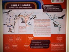 -大金鹰园