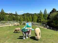 -神户市立六甲山牧场