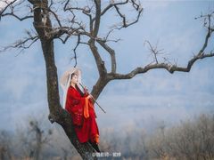 -秦岭风景区