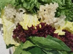 -千牛将·鲜牛肉火锅(开元路店)