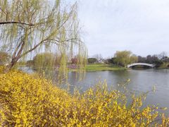 -鸡鸣汤包(广东路店)
