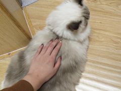 -猫和宫(六道口店)