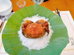 -觀芷隐轩