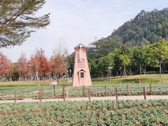 -顺峰山公园
