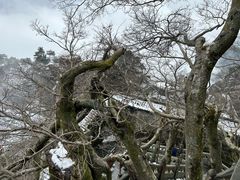 -武当山风景区