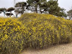 -元大都城垣遗址公园