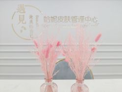 -哈妮皮肤管理中心