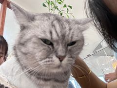 -共舞时光猫咖·狗咖(新街口店)