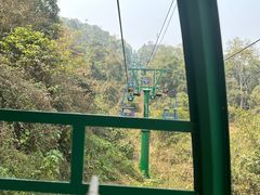 -野象谷景区