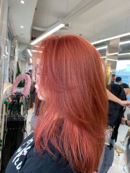 -潘多拉Hairsalon