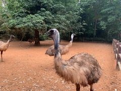 -海南热带野生动植物园