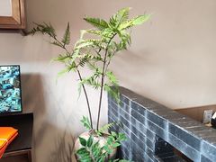 -味多美蛋糕(安定门店)