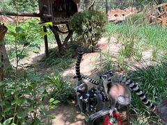 -北京野生动物园