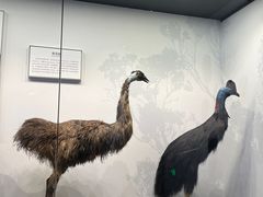 -四川大学博物馆