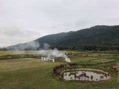 -艾米稻香小镇