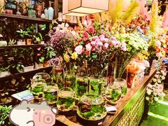 -芭缇沁园椰子鸡(中航紫金新天地店)