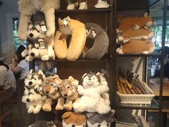 -TrueLove @ Neverland (Husky Cafe)