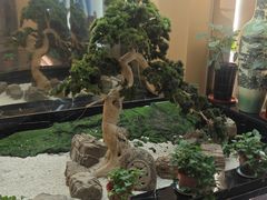 -普天和酒楼(天津之眼店)