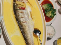 -森隆饭庄(崇文门新世界百货店)
