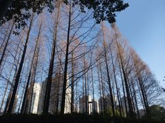 -金山公园