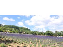 -富田农场