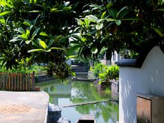 -丝绸小镇荻港古村