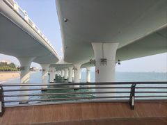 -演武大桥观景平台