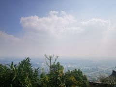 -杭州半山国家森林公园